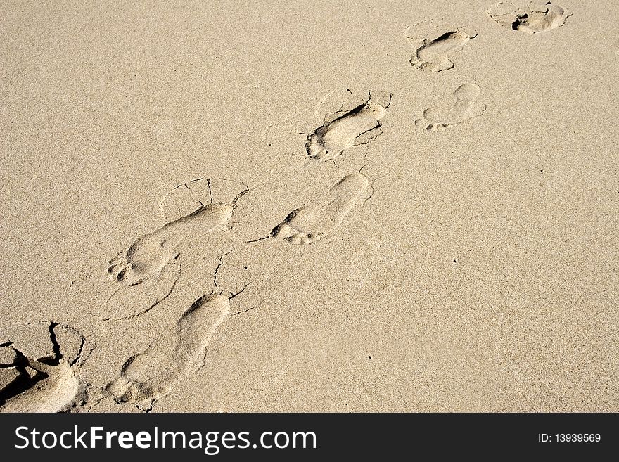 Some footsteps in the sand. Some footsteps in the sand