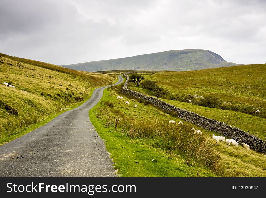 A quiet road which meanders through the welsh hills. A quiet road which meanders through the welsh hills