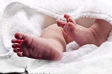 Baby Feet Stock Photo Baby Feet Stock Photo