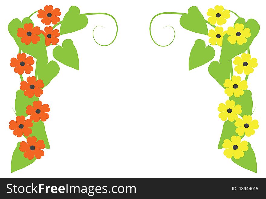 Illustration border of Black-Eyed-Susan (Thunbergia) with orange and yellow flowers. Illustration border of Black-Eyed-Susan (Thunbergia) with orange and yellow flowers.