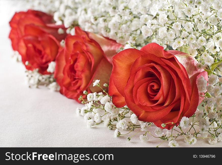 Beautiful red roses bouquet close up shoot