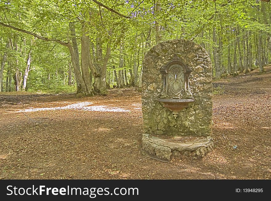 Fountain in the forest, Abruzzo, Italy