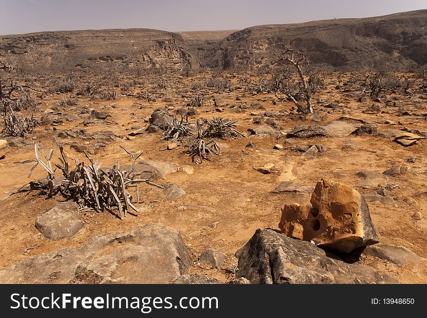 Tayq Cave, Oman