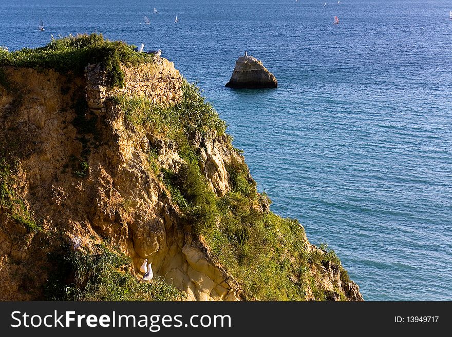 Praia da rocha beach,portugal-algarve