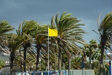 Yellow Flag In Coastline In Summer Holiday, In Las Americas, Tenerife, Spain Royalty Free Stock Images Yellow Flag In Coastline In Summer Holiday, In Las Americas, Tenerife, Spain Royalty Free Stock Images