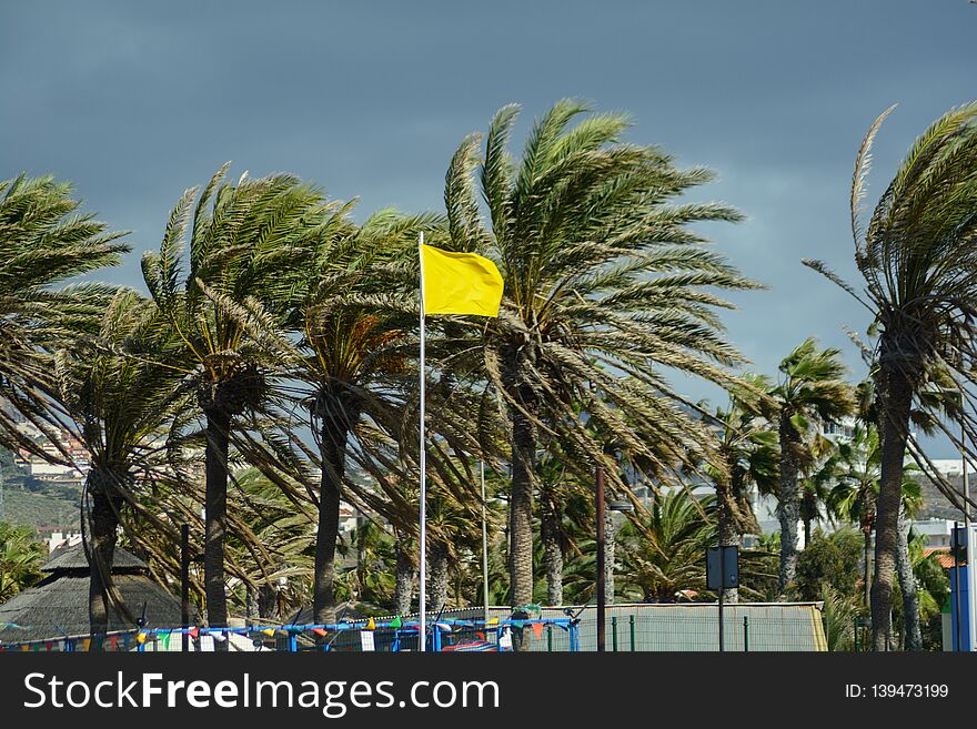 Yellow Flag in coastline in summer holiday, in Las Americas, Tenerife, Spain. Aerial view over Los Cristianos beach and Adeje coastline in summer holiday, in Tenerife, Spain