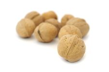 Walnuts Royalty Free Stock Images Walnuts Royalty Free Stock Images