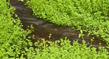 Wind And Flow Royalty Free Stock Photos Wind And Flow Royalty Free Stock Photos