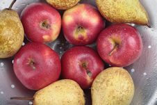 Apples And Pears Closeup Stock Image Apples And Pears Closeup Stock Image