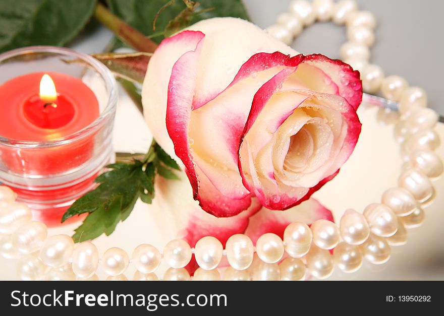 Fine rose, pearls and burning candle. Fine rose, pearls and burning candle