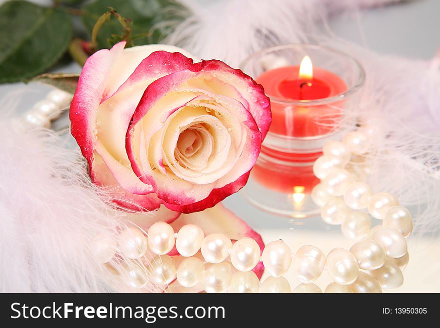 Fine rose, pearls and burning candle. Fine rose, pearls and burning candle