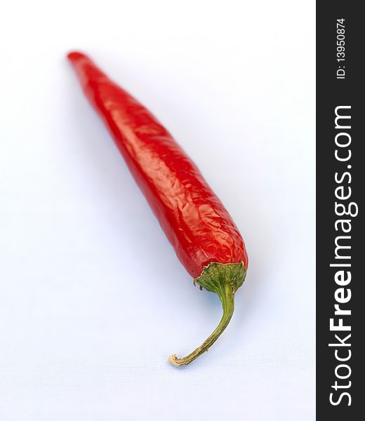 Red Chilli Pepper isolated on a blue background