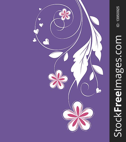 White flower branch on purple background. White flower branch on purple background