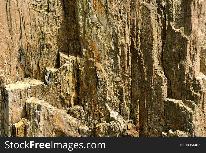 Surface of fossil wood, shown as featured texture, light and shadow, character and color. Surface of fossil wood, shown as featured texture, light and shadow, character and color.