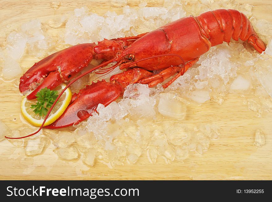Whole cooked lobster on a board with ice