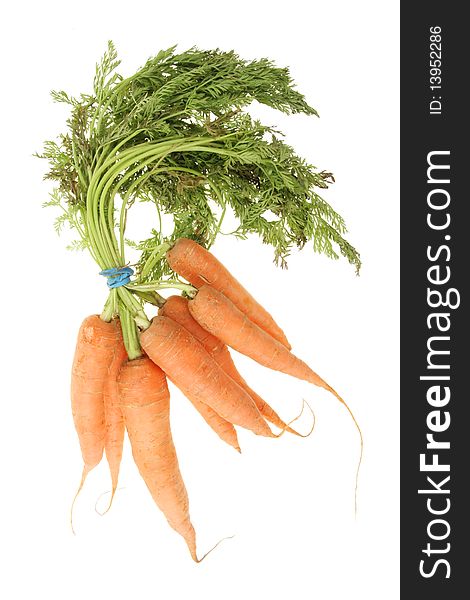 Bunch of fresh carrots with green tops isolated on white