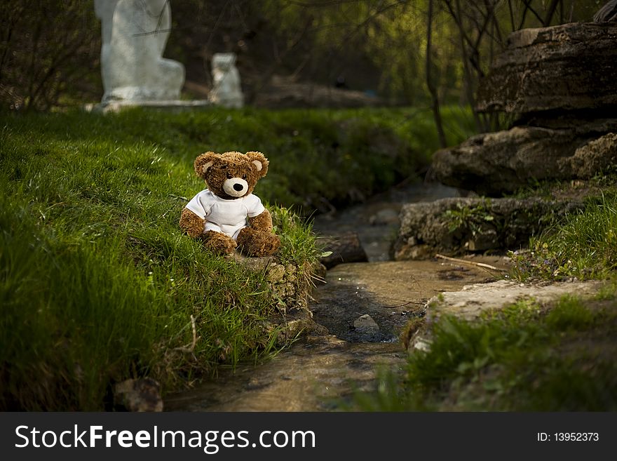 Teddy Bear Near A River