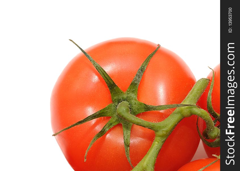 Tomato isolated on white with clipping path and copy-space