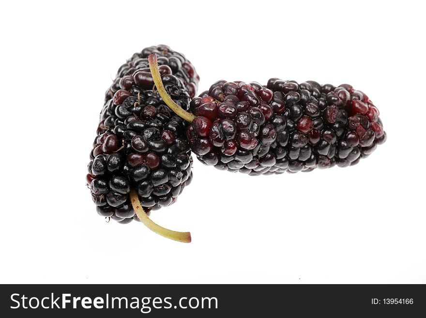 Two fresh mulberries isolated on white. Two fresh mulberries isolated on white