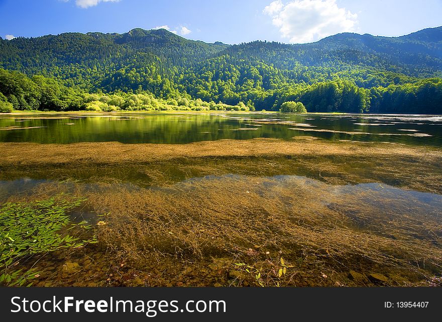 The Biogradsko lake in Montenegro during summer season. The Biogradsko lake in Montenegro during summer season.