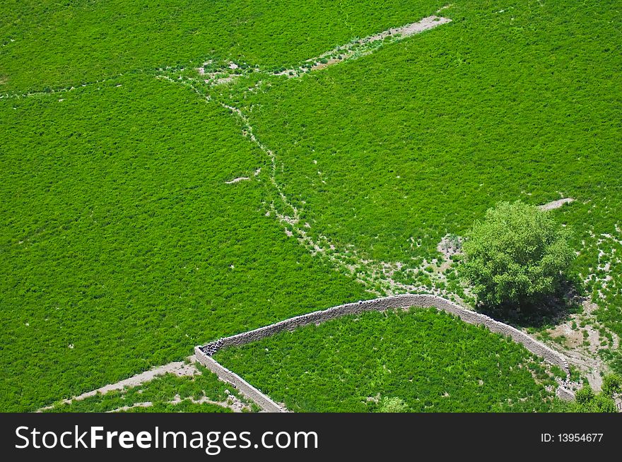 Aerial View Of Green Fields