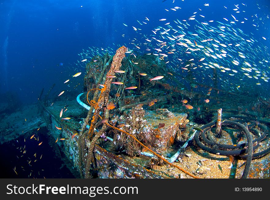 King Cruiser Wreck in PP Island, Thailand.