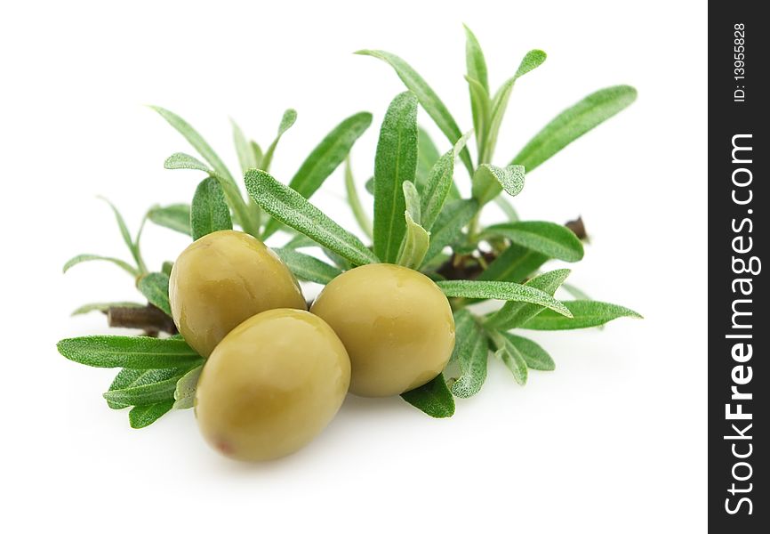 Green olives and twig with leaves