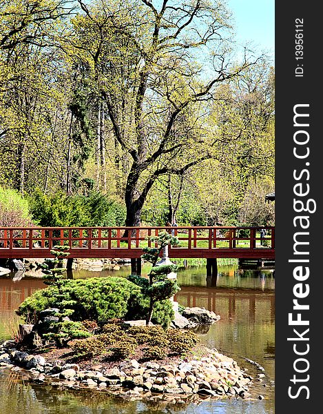 Photograph of the Japanese garden in spring time