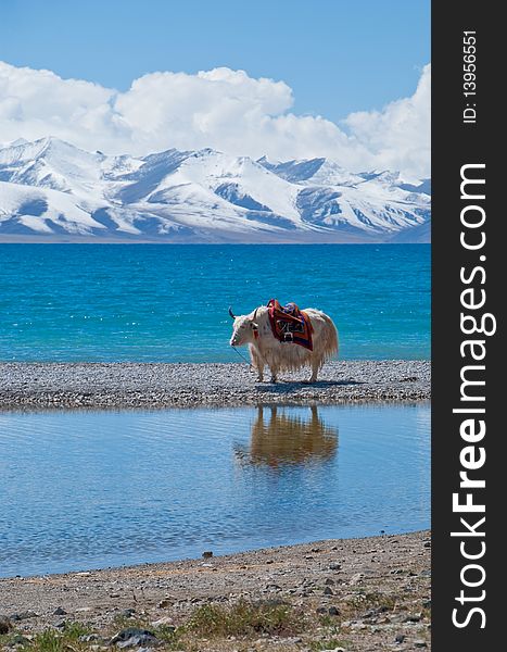 Scenery of mountains and lakes in Tibet. Scenery of mountains and lakes in Tibet