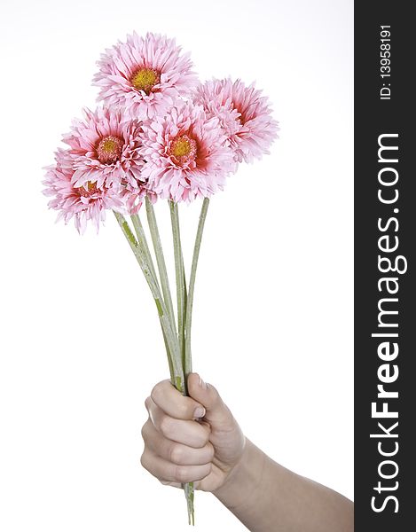 This image shows a flower, delivered by a person, as a symbol of reconciliation between two people. This image shows a flower, delivered by a person, as a symbol of reconciliation between two people