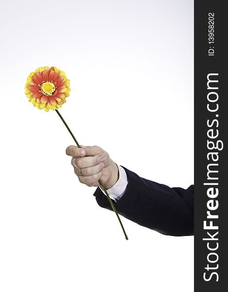 This image shows a flower, delivered by a person, as a symbol of reconciliation between two people. This image shows a flower, delivered by a person, as a symbol of reconciliation between two people