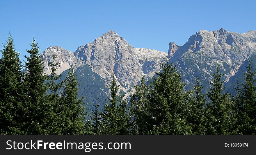 Hill tops and firs in Austria. Hill tops and firs in Austria