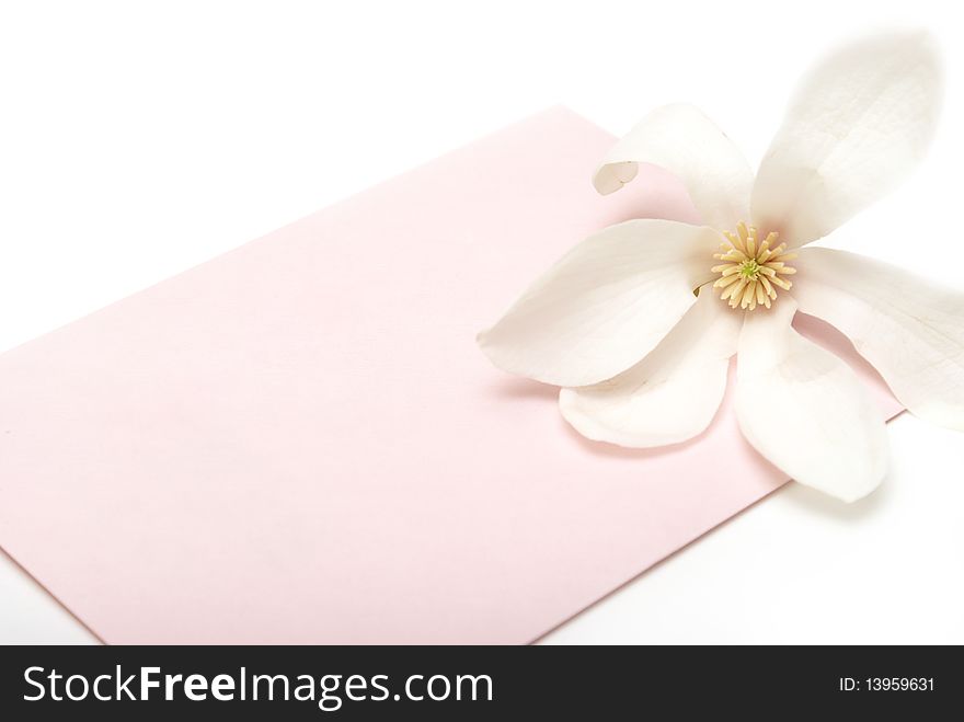 A pretty pink card for a girl with room for your text. A pretty pink card for a girl with room for your text.