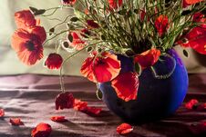 Composition With Poppies Royalty Free Stock Photography