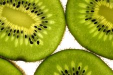 Kiwi Fruit Stock Image Kiwi Fruit Stock Image