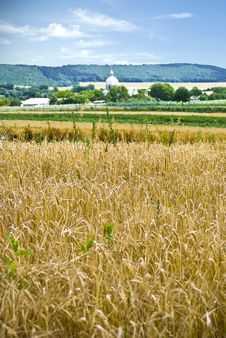 Village With A Wheat Field Stock Image Village With A Wheat Field Stock Image