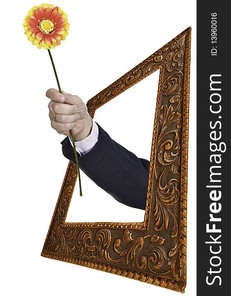 This image shows a flower, delivered by a person, as a symbol of reconciliation between two people. This image shows a flower, delivered by a person, as a symbol of reconciliation between two people