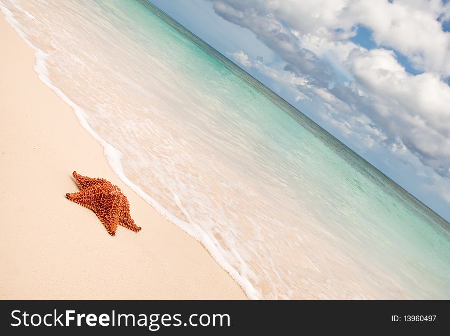 Red Starfish On A Sand Beach