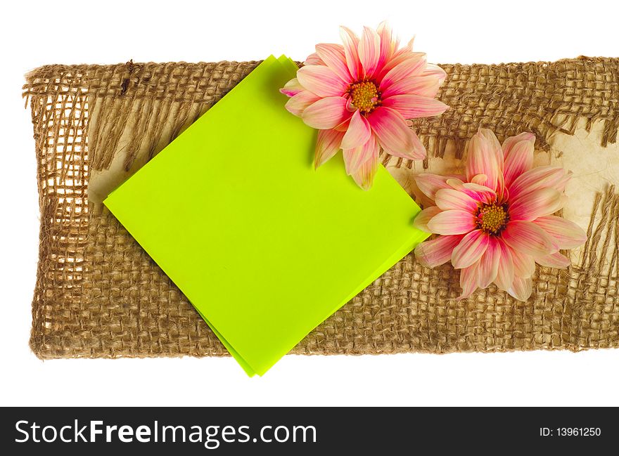 Stickers with flowers and petals with copy space isolated on white