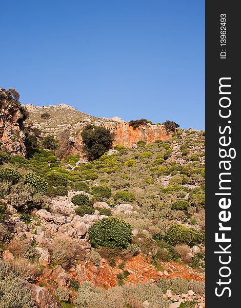 Phrygana landscape on Gramvousa Peninsula in Crete, Greece.