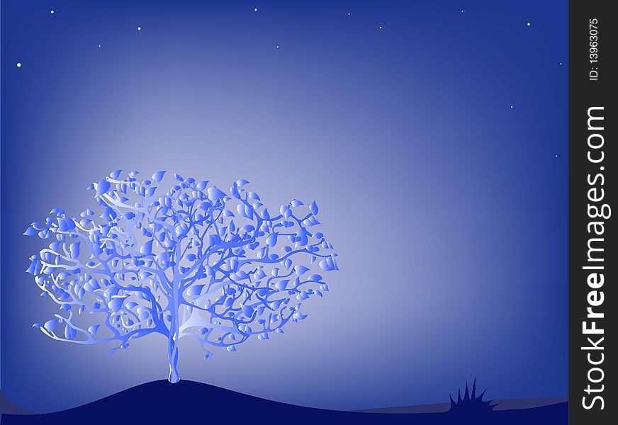 Tree on the night field.