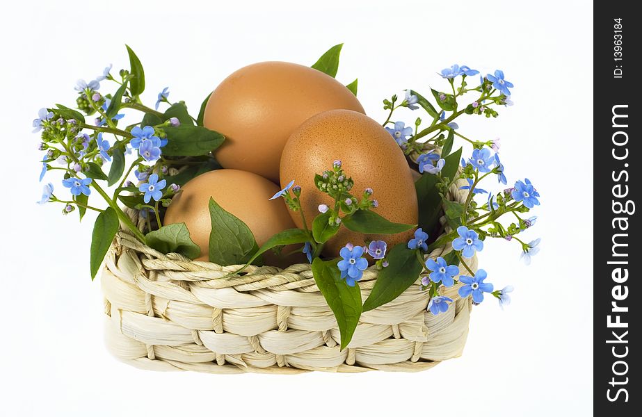 Eggs lie in basket with branch of forget-me-nots on white background