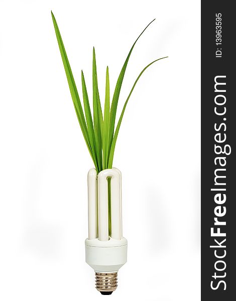 Energy saving lamp with green seedling on white