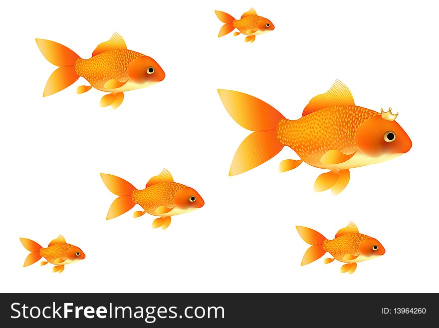 Background With Golden Fishes, Isolated On White. Background With Golden Fishes, Isolated On White