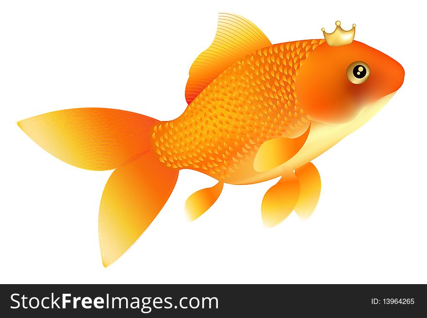 Classic Golden Fish With Golden Crown, Isolated On White. Classic Golden Fish With Golden Crown, Isolated On White