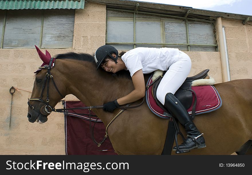 A pretty girl with a brown horse for sport. A pretty girl with a brown horse for sport