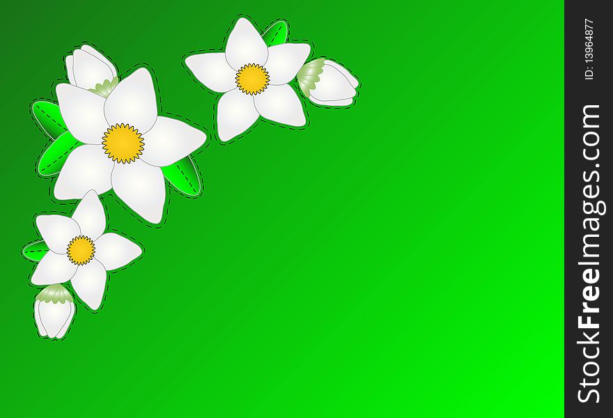 Vector Eps10.  Green Copy Space With White Flowers