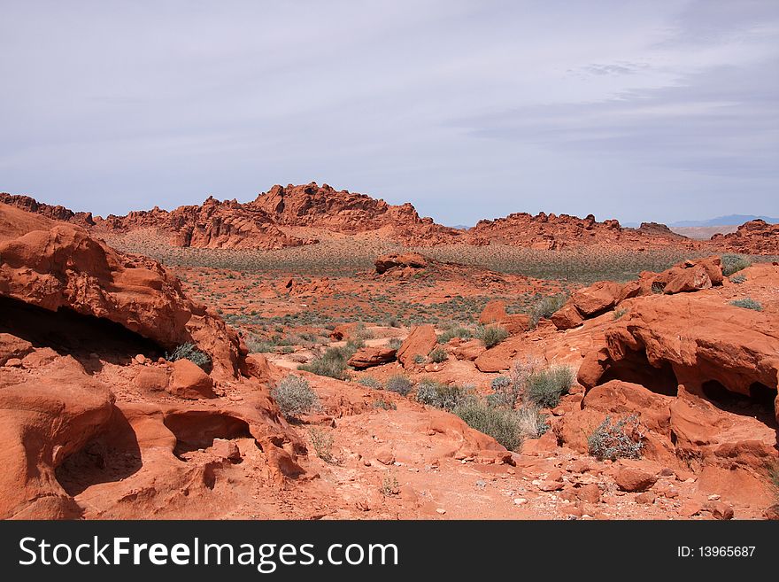 Desert landscape in Valley of Fire with red rock formations and vegetation