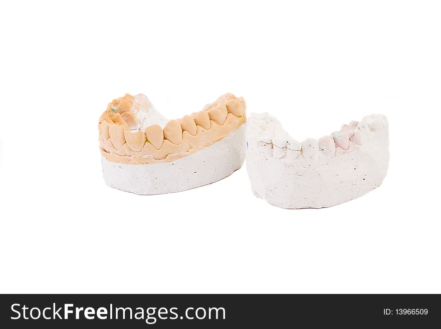 Series. teeth plaster cast. Close up on white background