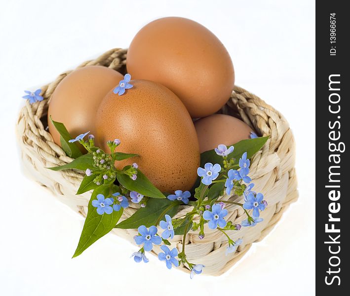 Blue forget-me-nots and eggs lie in basket on white background